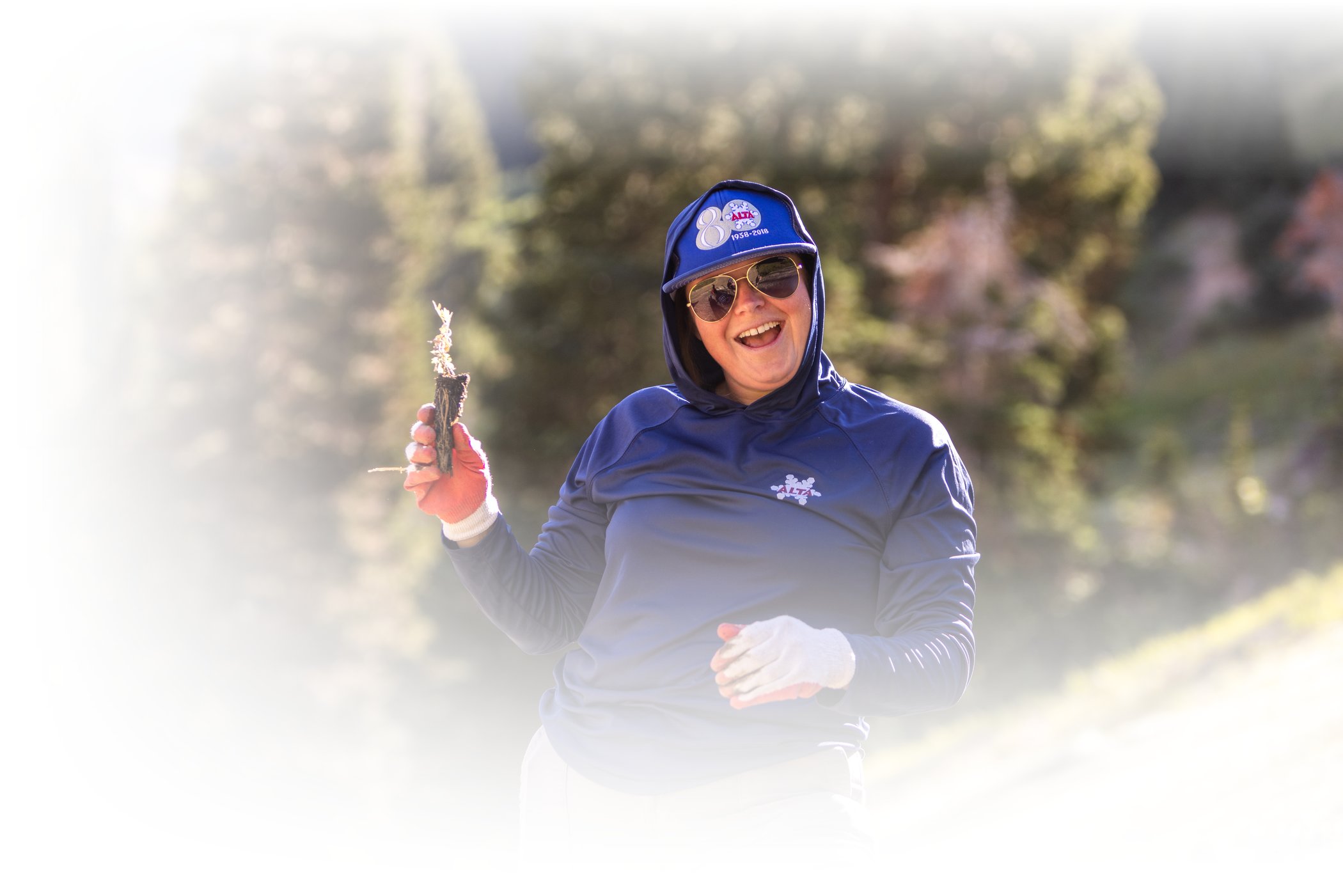 An Alta Ski Area employee shows off a native plant seedling on a sunny summer morning at Alta Ski Area