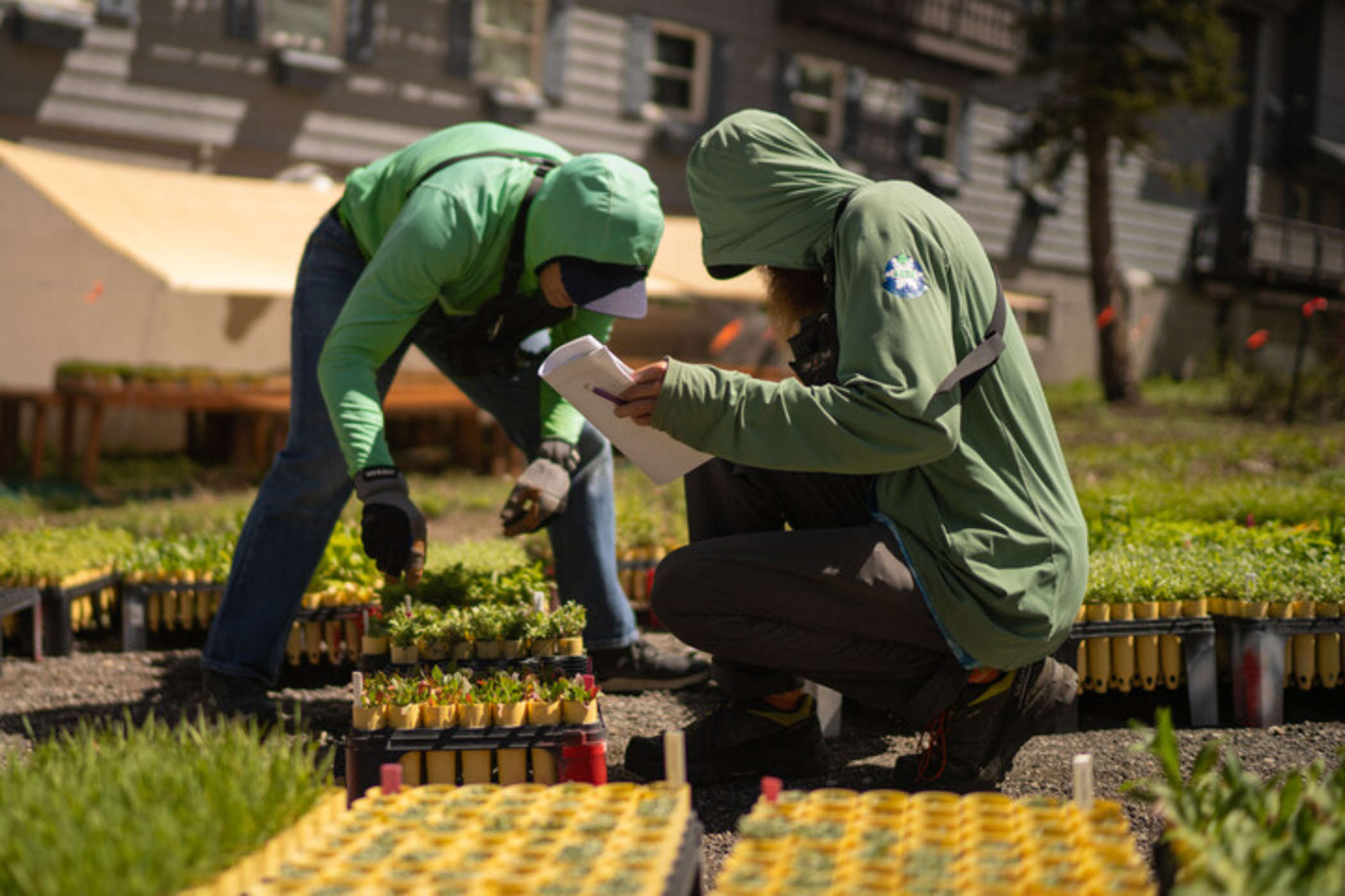 Plant Sorting