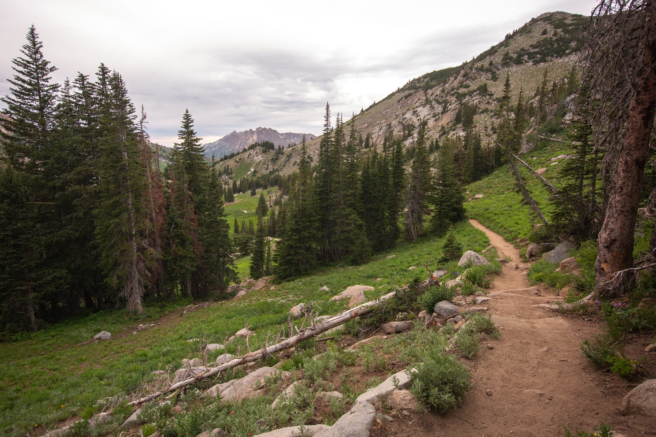 The last switchbacks to the to of Catherine's Pass