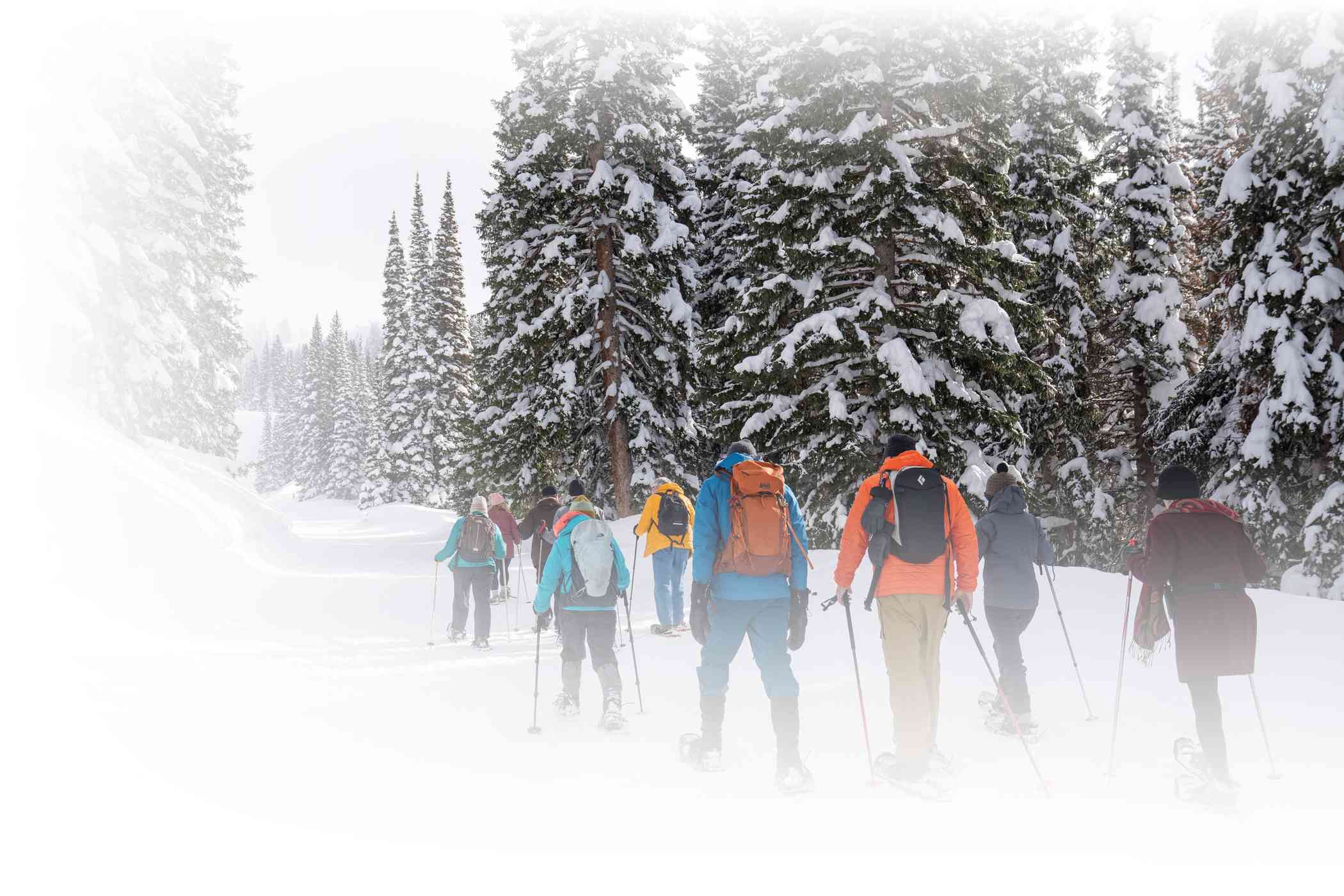 Group of snowshoers led by CCF naturalist at Alta