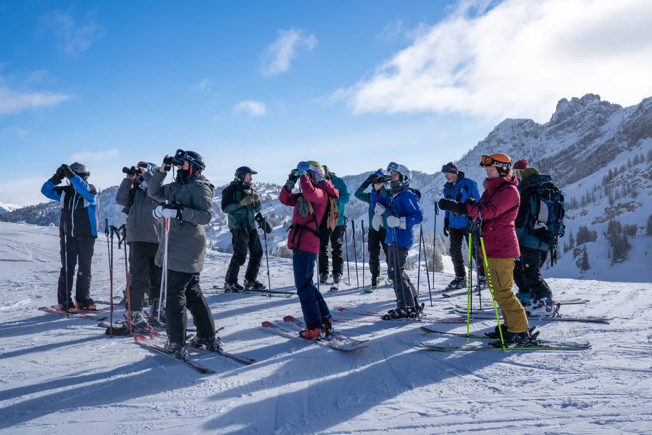 Birding On Skis