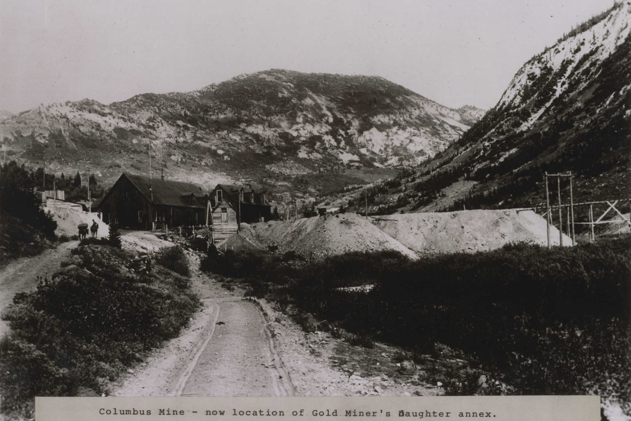 Alta Ski Area was denuded of trees after generations of mining