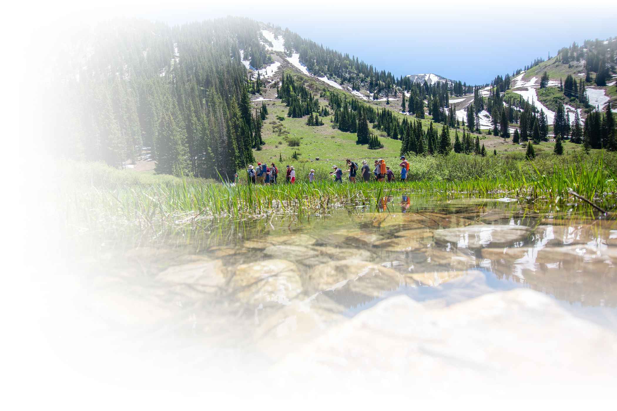 Volunteers work to clean up Alta Ski Area on a sunny summer day