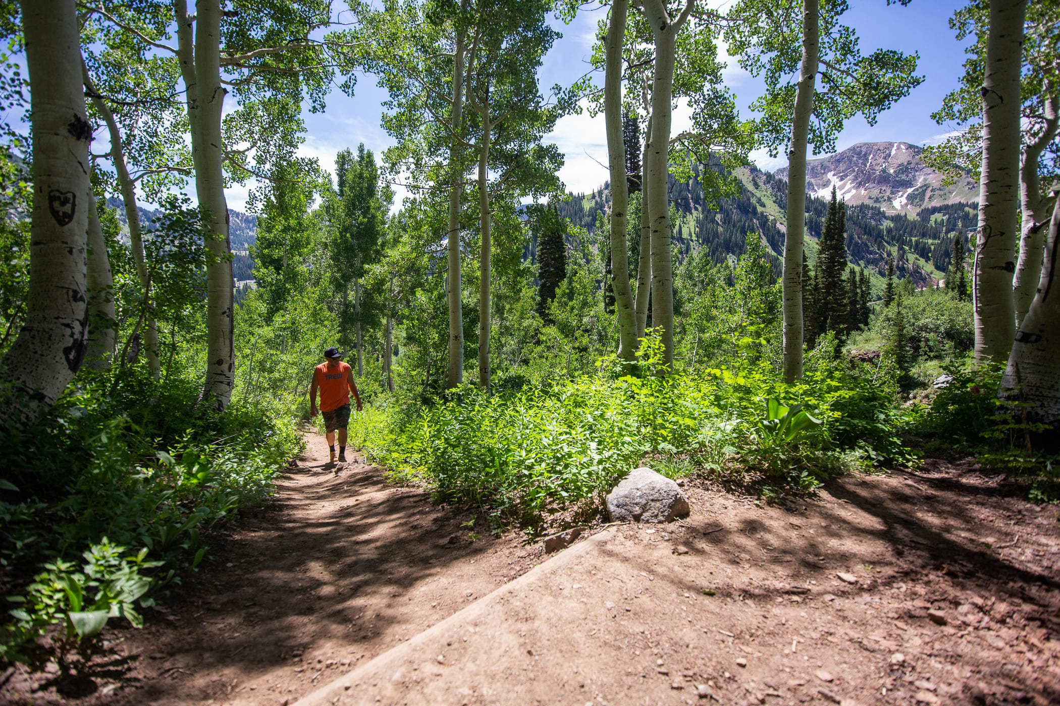 The Twin Lakes Pass trail begins amongst the aspens