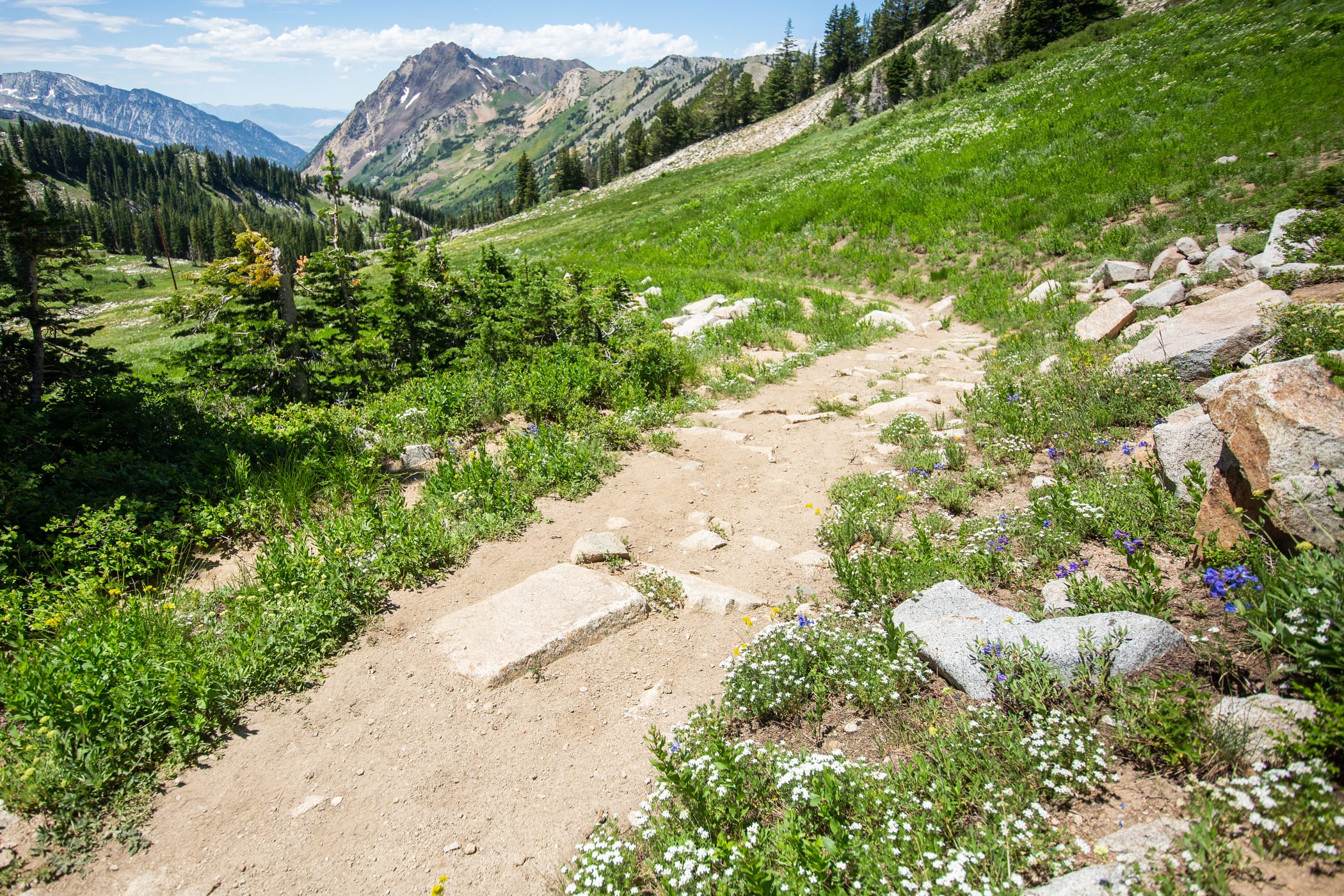 Nearing Twin Lakes Pass with Mount Superior in the background