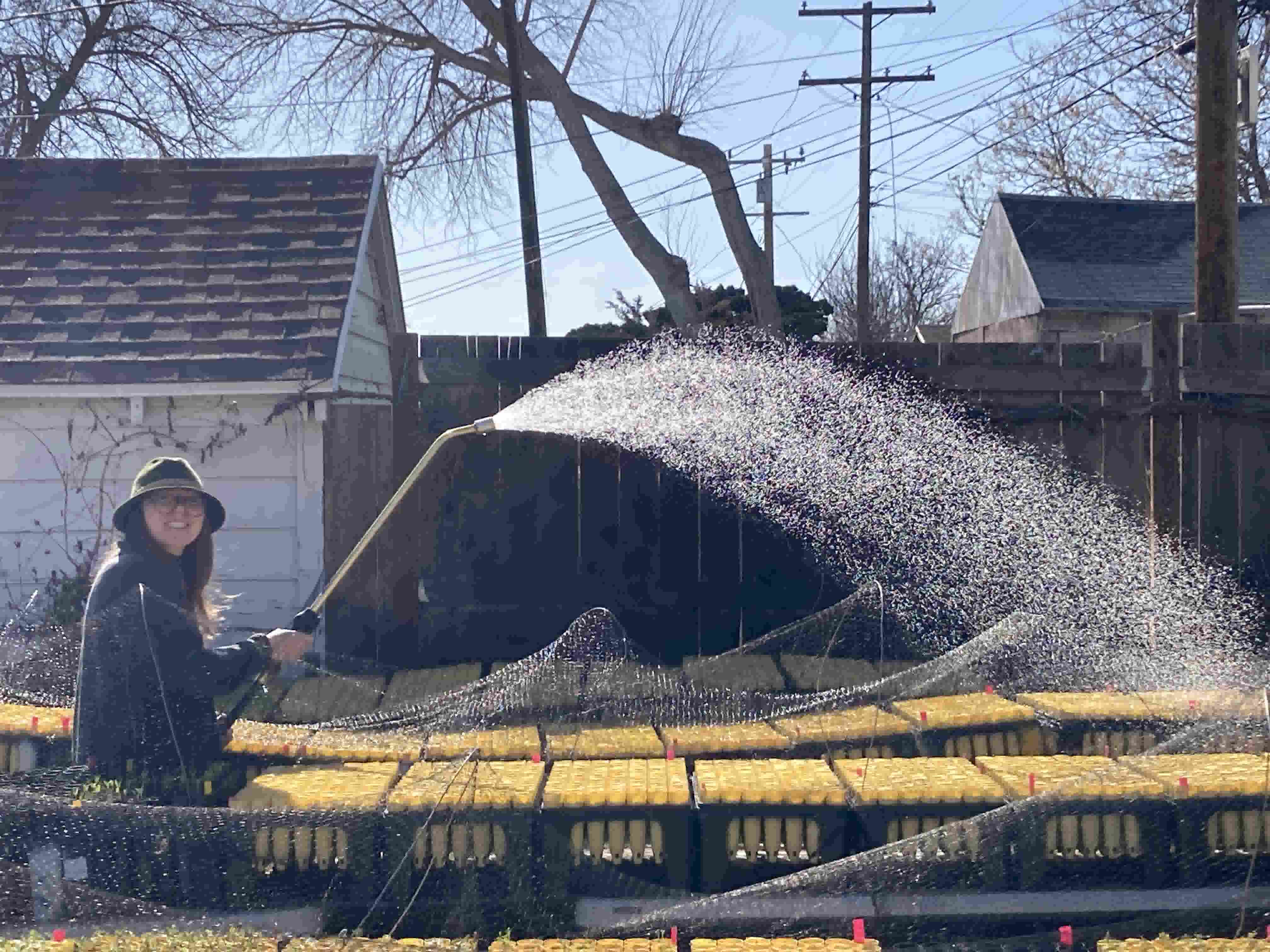 Aidan Watering