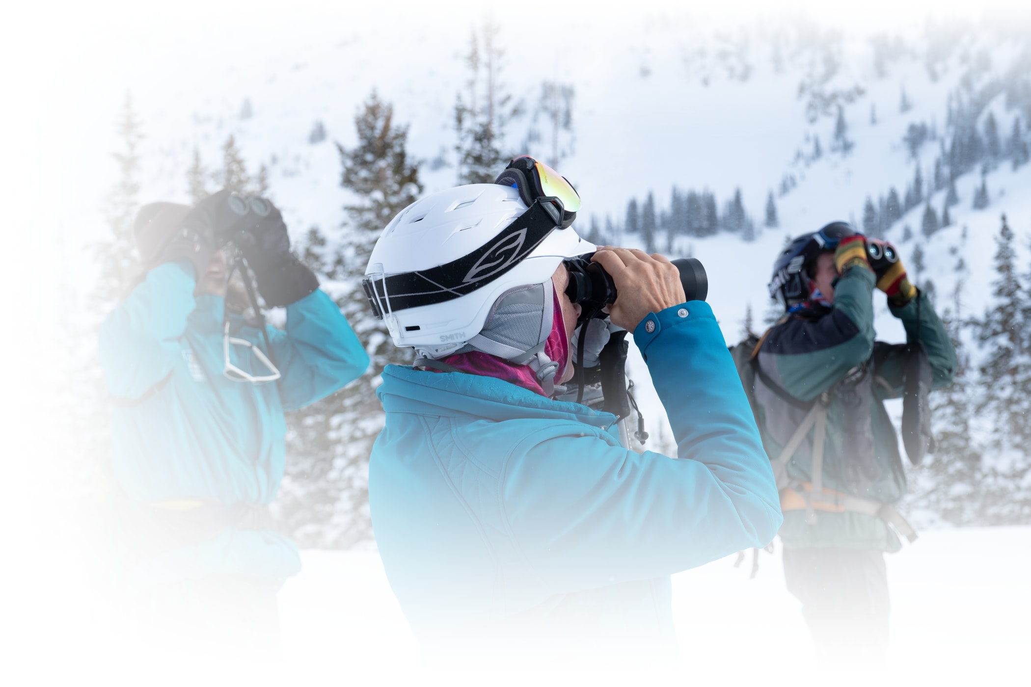 birding on skis at Alta