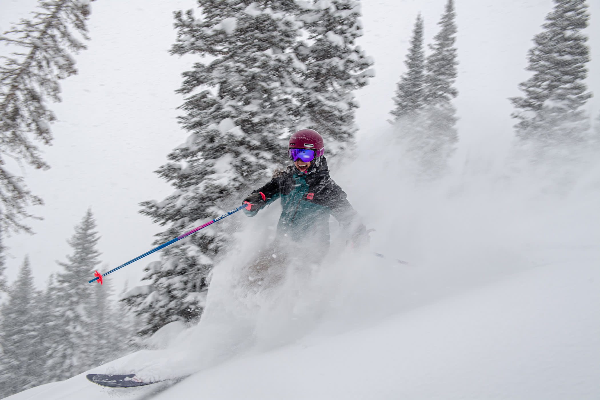 Lexi bounces through snow on another Kitty lap | Photo: Re Wikstrom