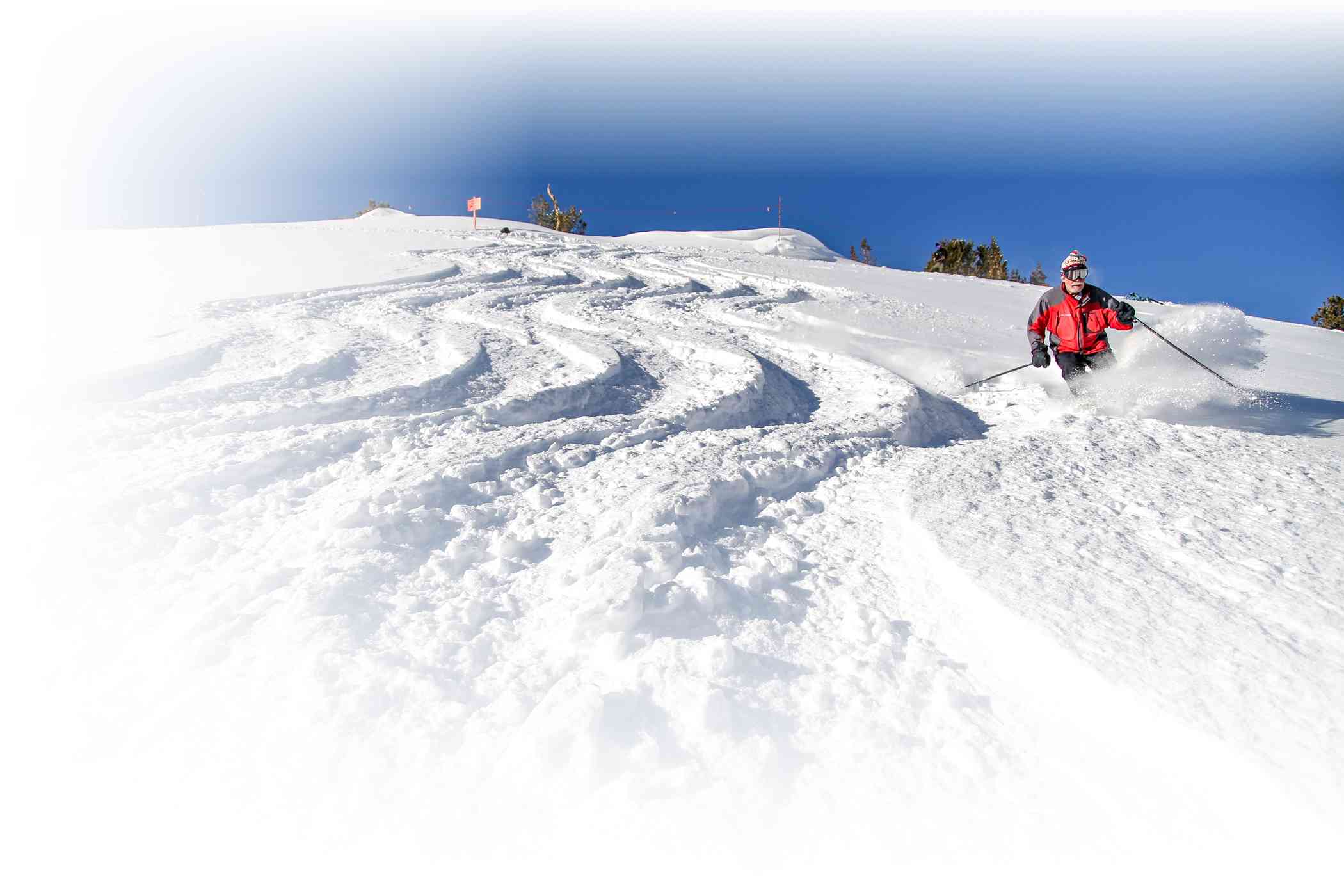 Farmer Dave farms some snow at Alta Ski Area