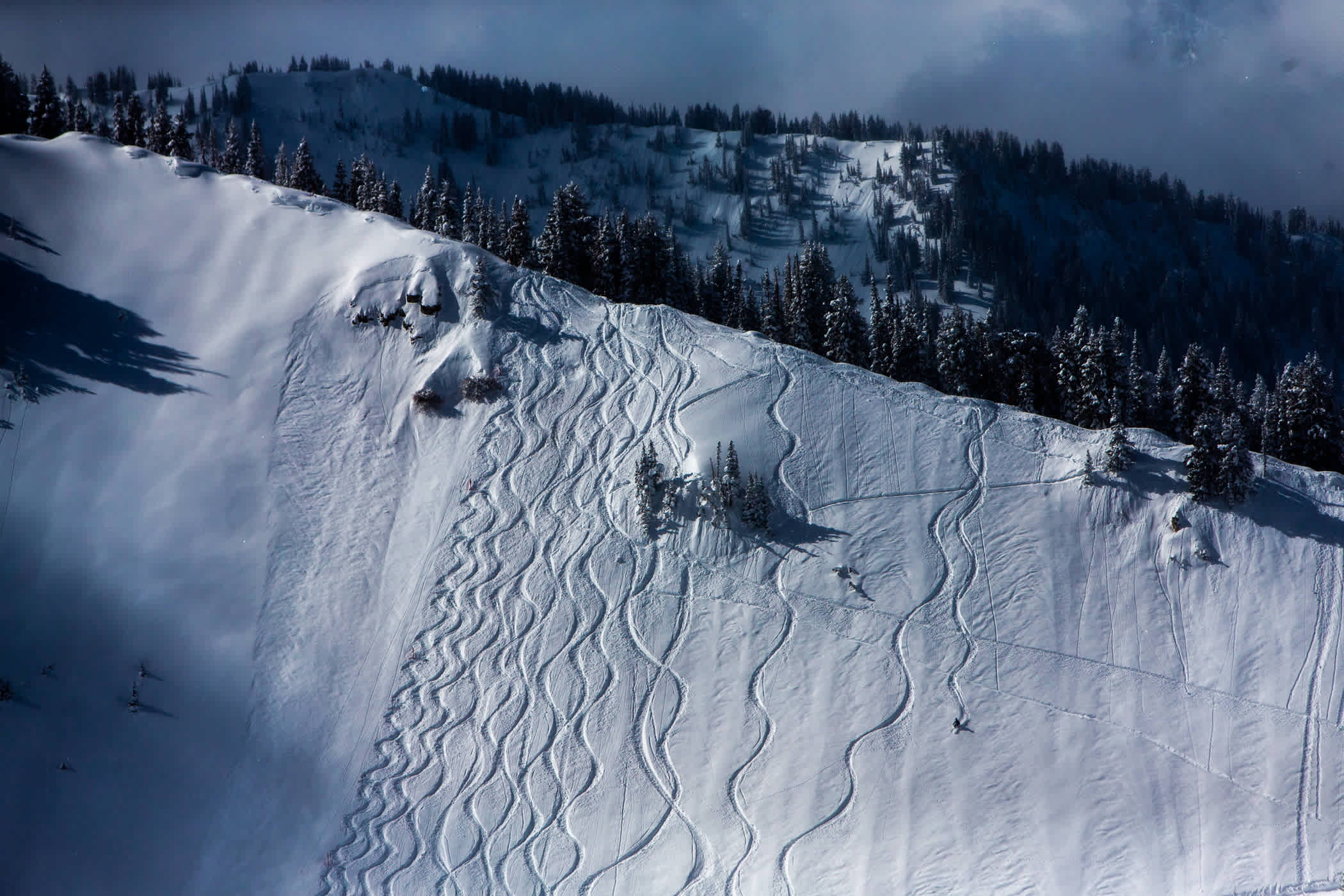 Tracks on Baldy Shoulder | Photo: Rocko Menzyk