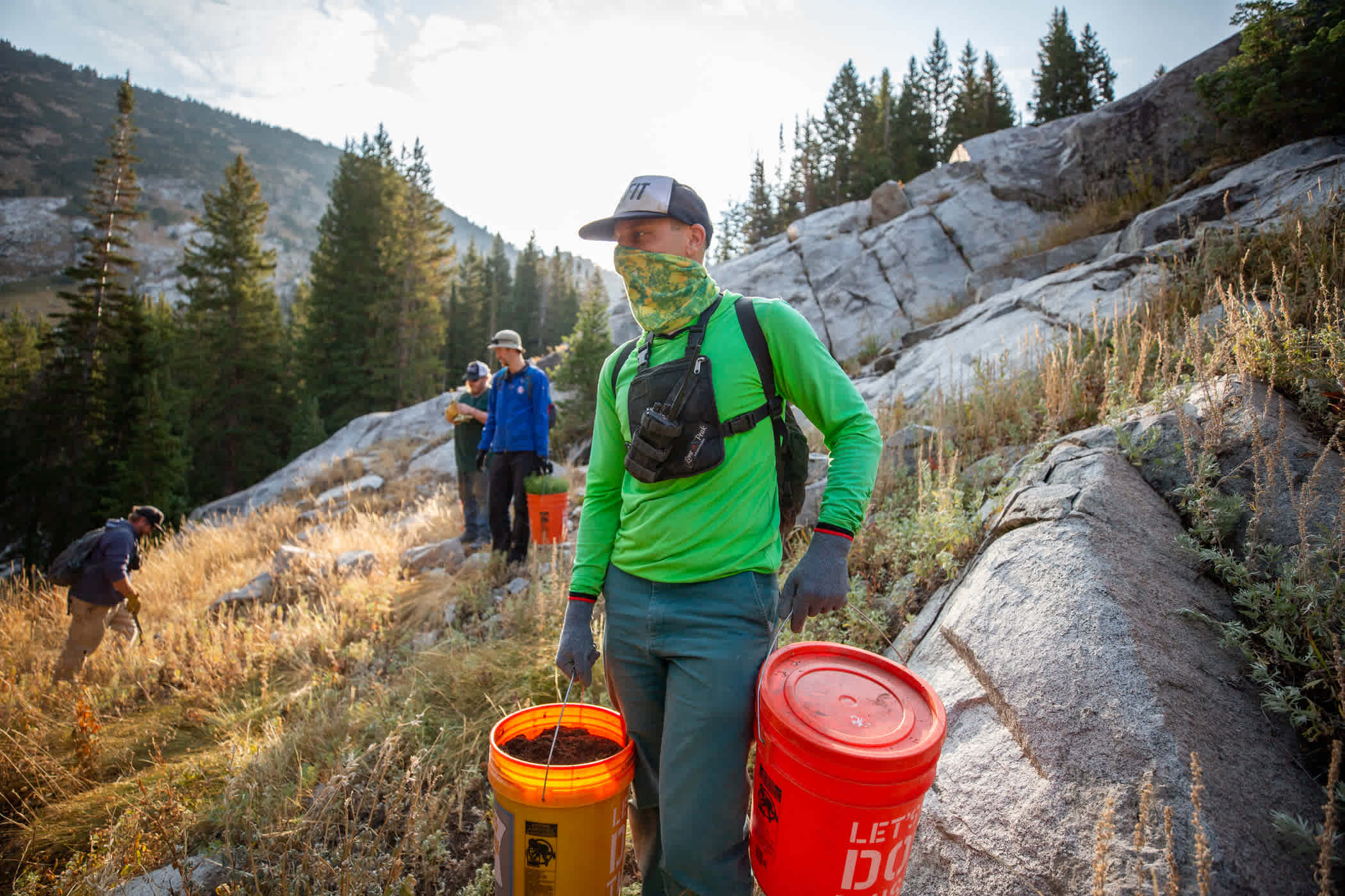 Tree Planting at Alta