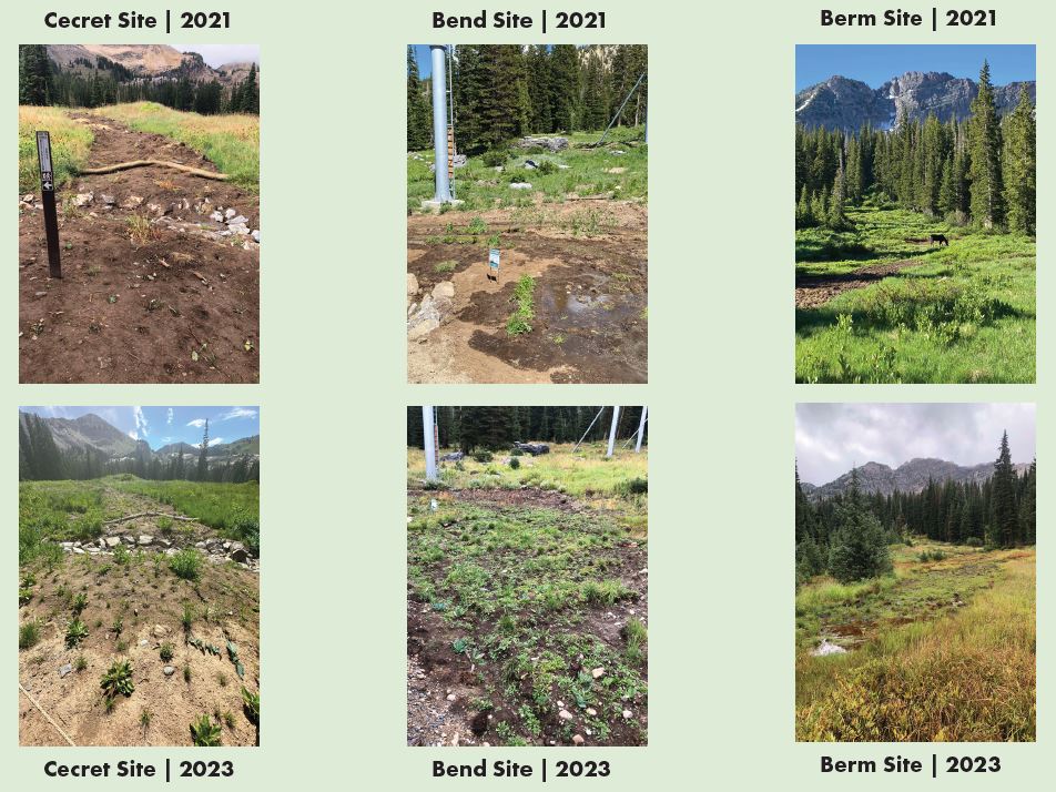 Wetland-Progress